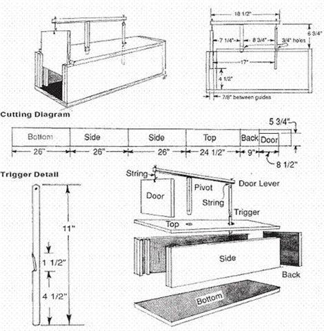 Homemade Rabbit Box Trap Plans