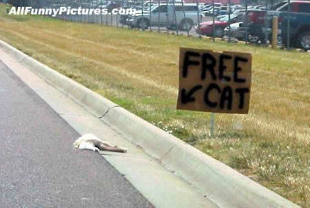 full-17630-127876-free_cat.jpg