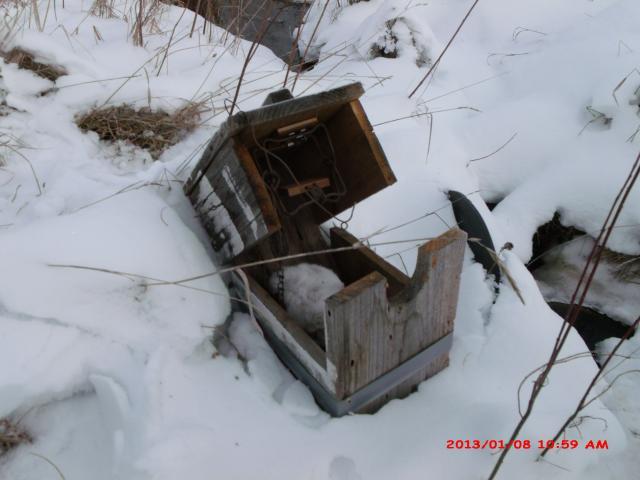 want to make mink boxes any idea's - Trapperman Forums