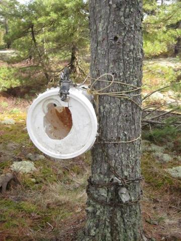 top 12 trap snares top 12 trap snares