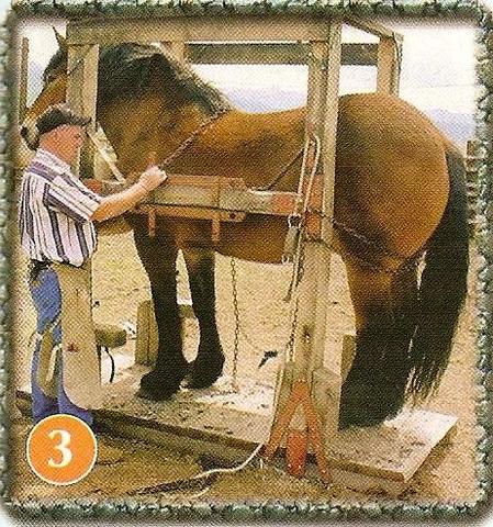 Used Shoeing Stocks For Sale Used Shoeing Stocks For Sale