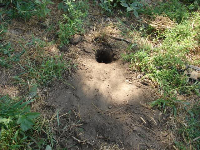 full-45292-279656-picture006.jpg