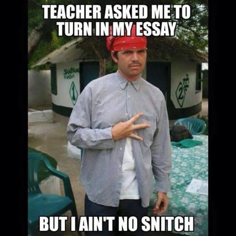 Write my essay south park