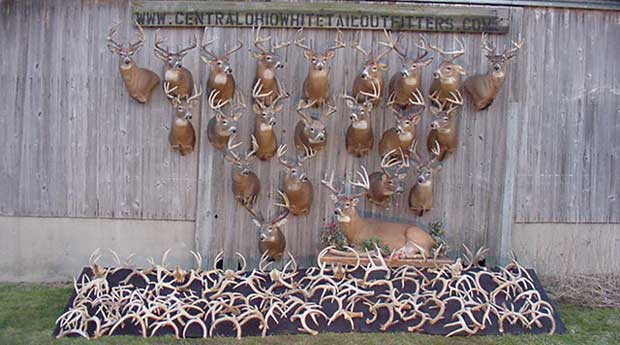 Home Made Live Traps