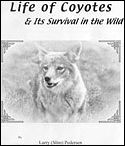 Life of Coyotes