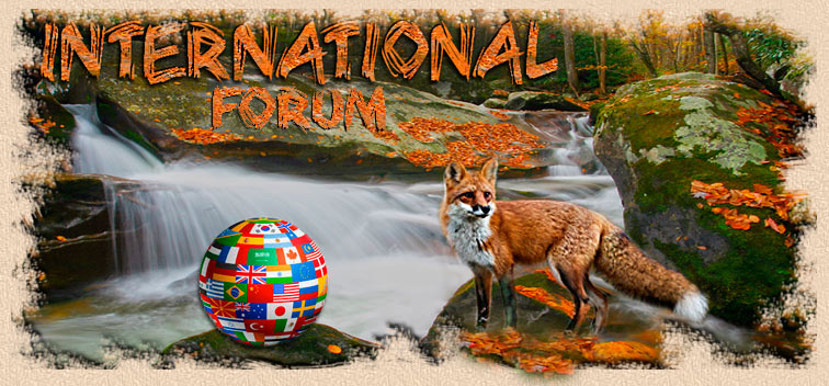 International forum
