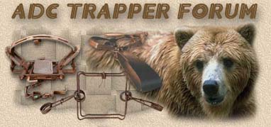 Trapperman Forums